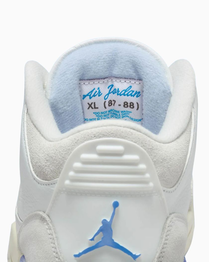 Air Jordan 3 Lucky Shorts