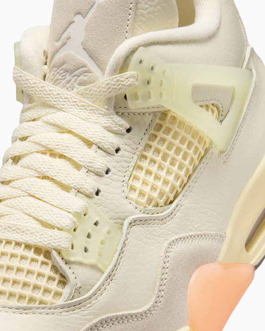 Air Jordan 4 Retro Birds of Paradise
