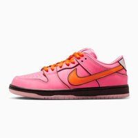 Nike Dunk Low SB The Powerpuff Girls Blossom